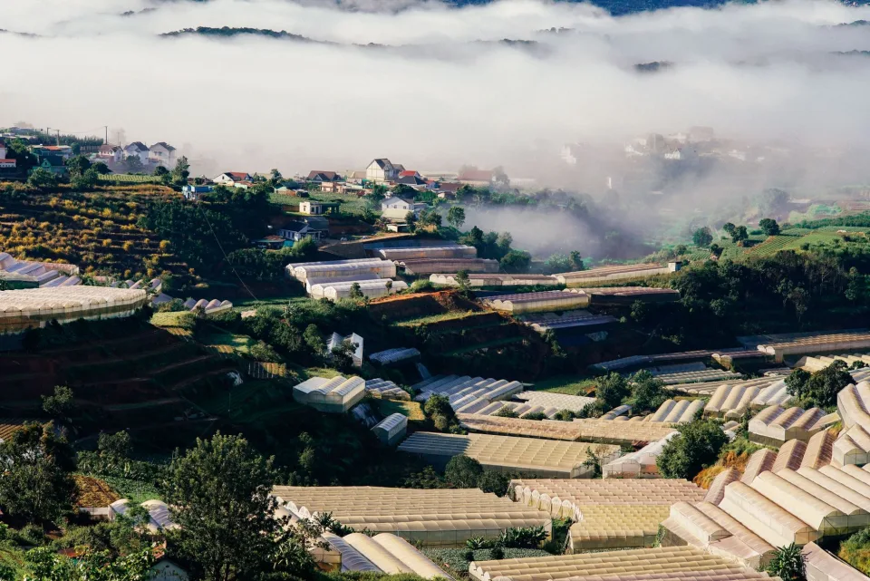 Khu vườn trồng và chăm sóc cây